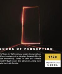 DOORS OF PERCEPTION – Exit the Matrix Regensburg