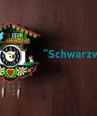 Schwarzwald – Frexit Live Escape Room Freiburg