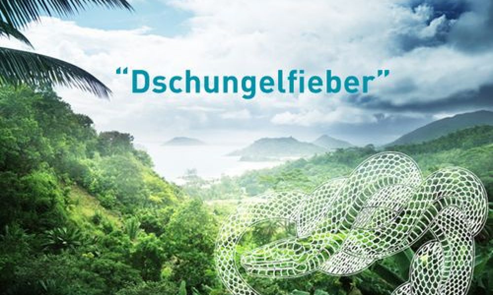 Dschungelfieber - Frexit Live Escape Room Freiburg